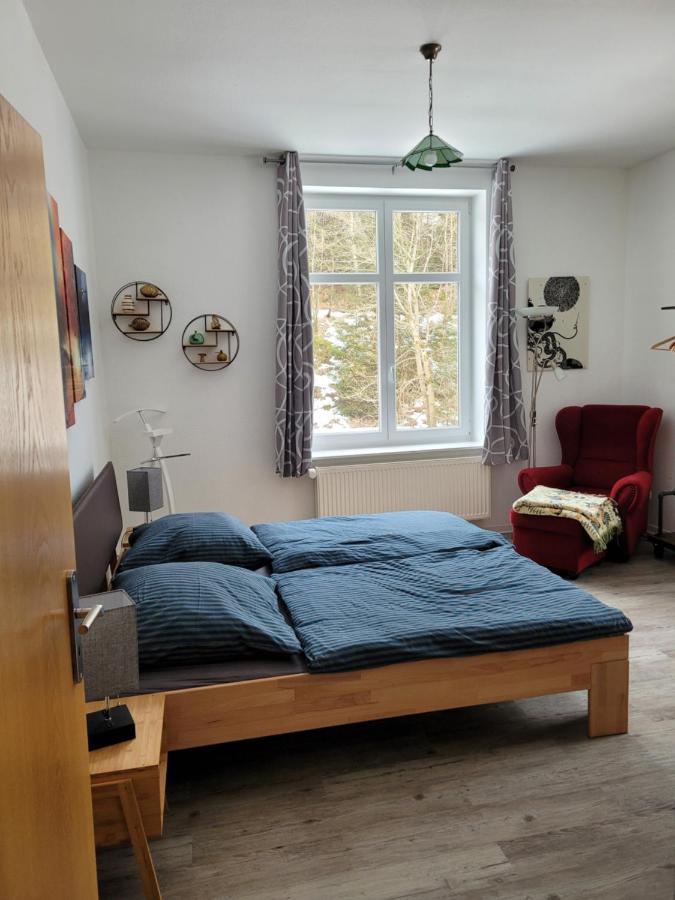 Ferienwohnung Eulennest Bis 10 Personen,Waesche,Reinigung,Parkplatz Inklusive,Kurtaxe Wird Extra Berechnet Altenau  Exterior foto